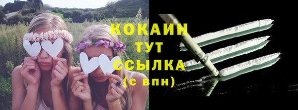 стафф Армянск