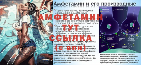 a pvp Аркадак