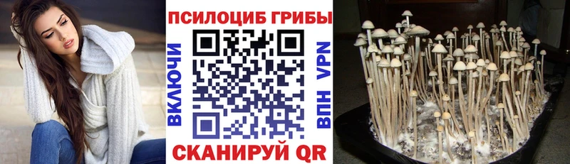 Галлюциногенные грибы MAGIC MUSHROOMS Горно-Алтайск